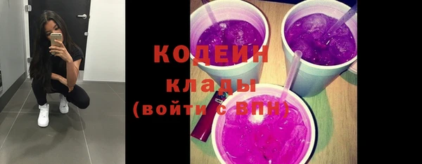 прущие грибы Арсеньев