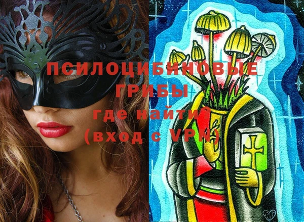 молекула духа Алексин