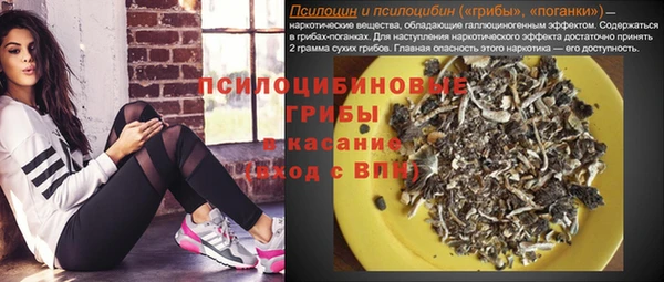 бошки Алзамай