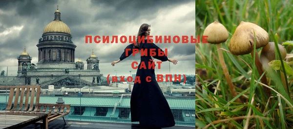 прущие грибы Арсеньев