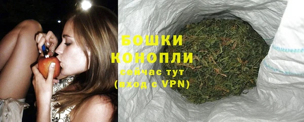 прущие грибы Арсеньев