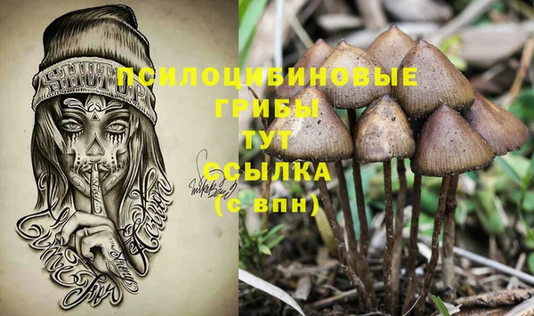 прущие грибы Арсеньев